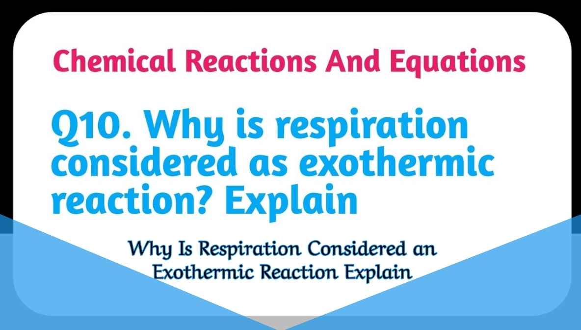 Why Is Respiration Considered an Exothermic Reaction Explain